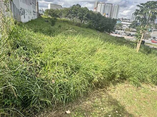 Área para Venda em Barueri - 5